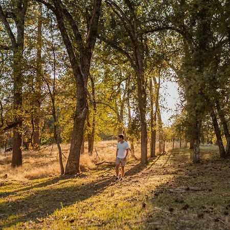 Lovers Nest By Casa Oso With Private Hiking Trails And Pond Mariposa Extérieur photo