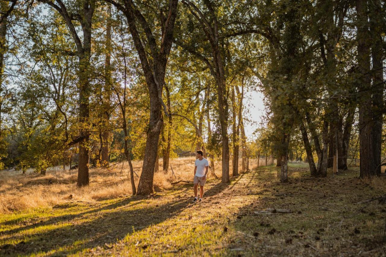 Lovers Nest By Casa Oso With Private Hiking Trails And Pond Mariposa Extérieur photo